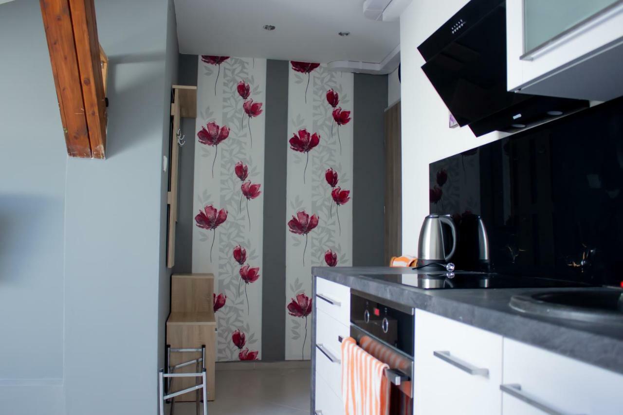 Apartament Stawowa Цешин Экстерьер фото